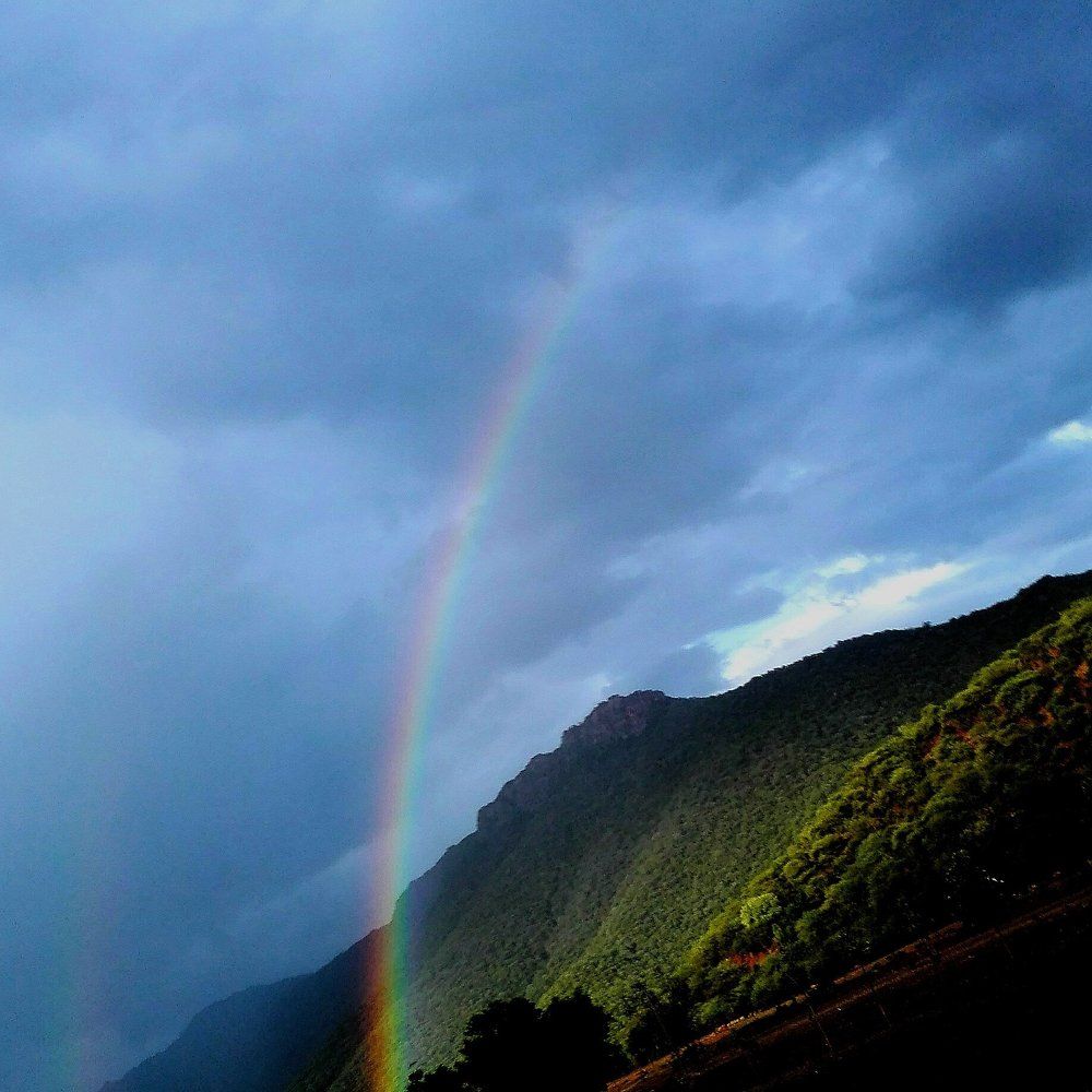 Rainbow