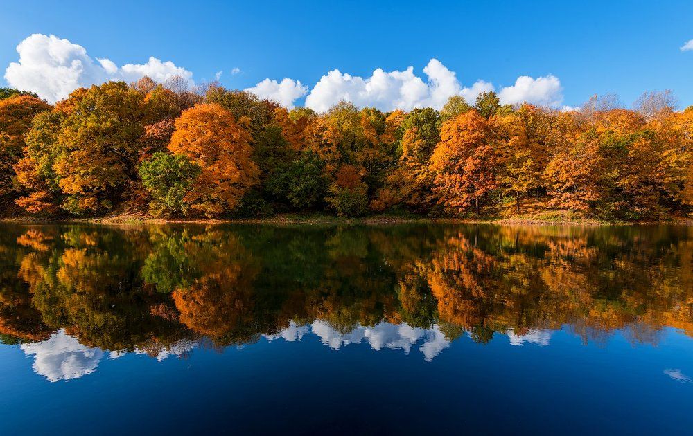 Осень на Щелоковском хуторе