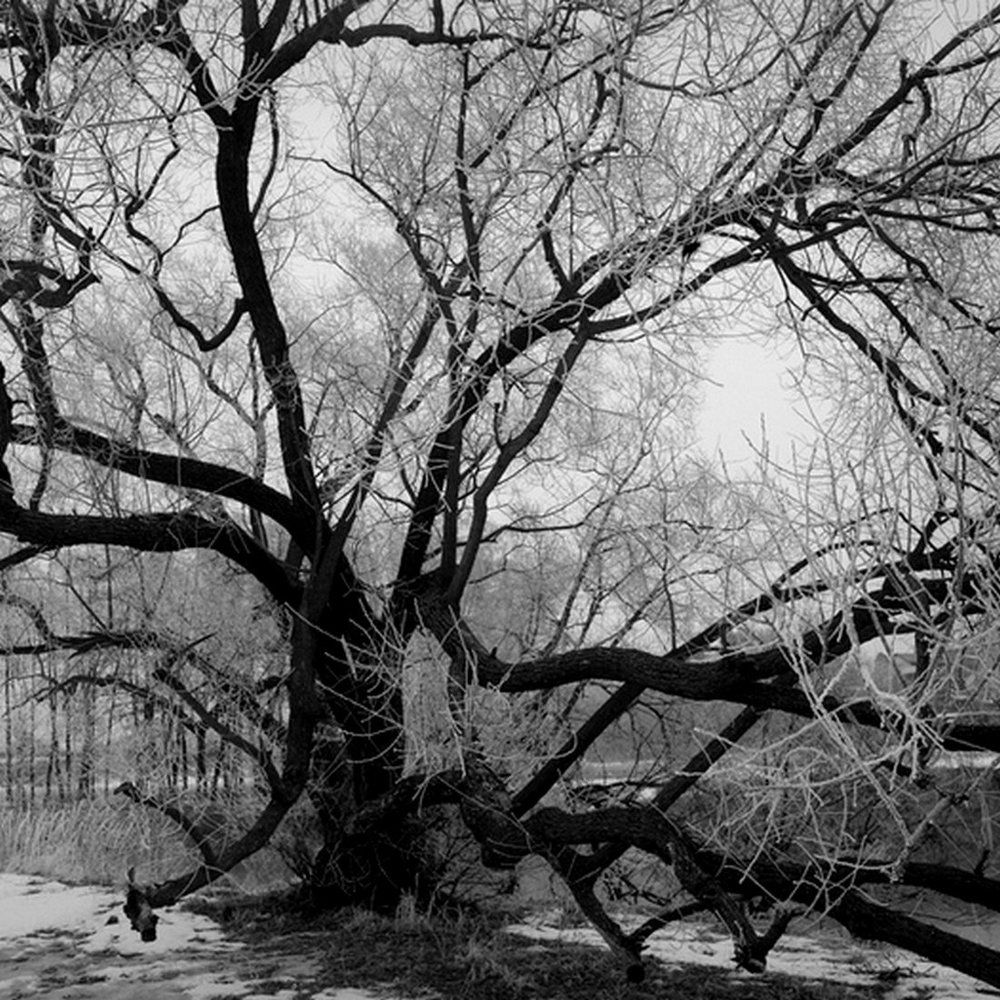 Зимний вечер в подмосковье на реке Пехорке