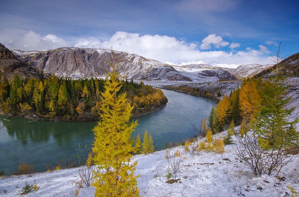 Осенняя пора