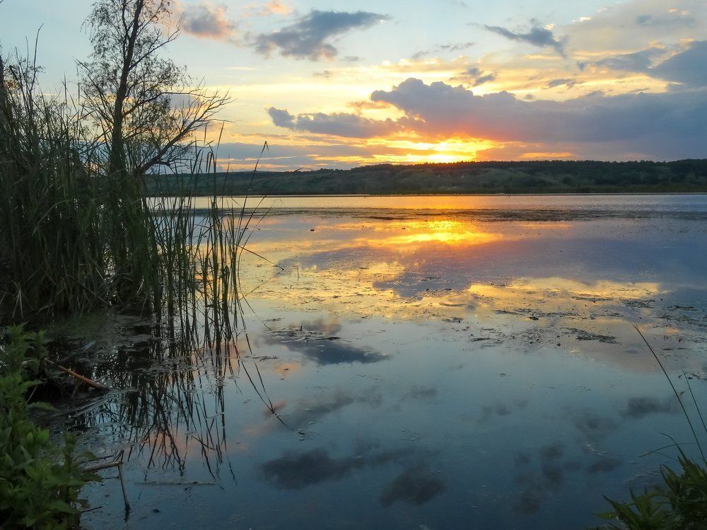 Photograph by Роман