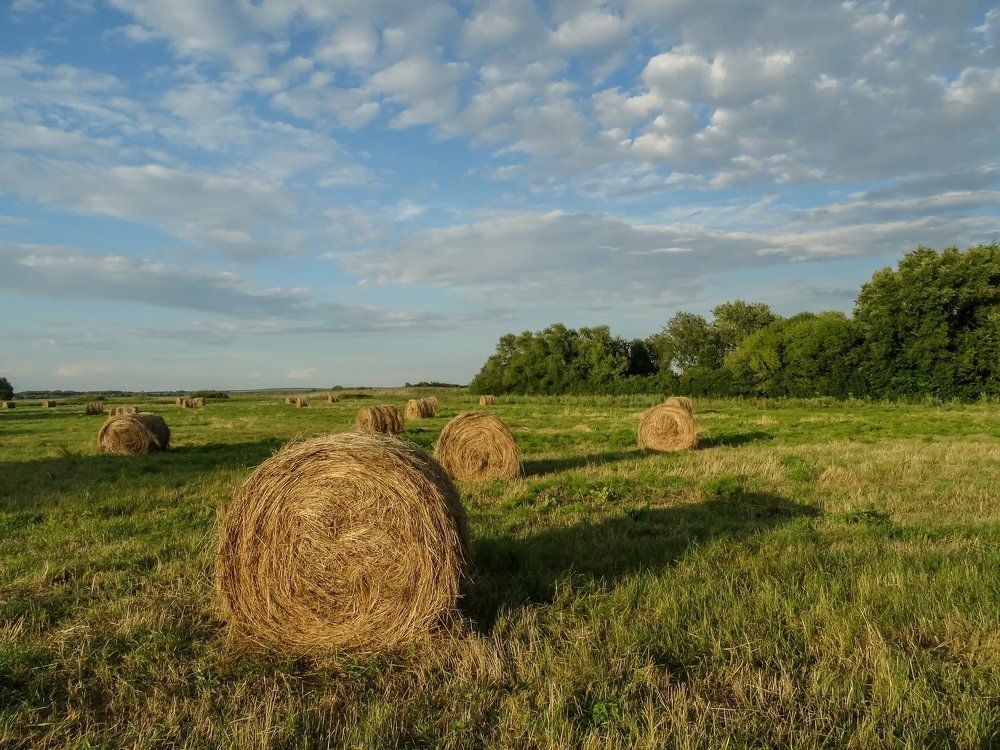 Photograph by Роман