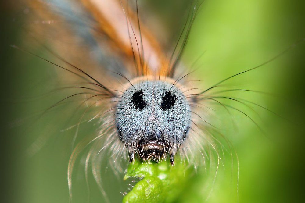 Я поцелую провода, и не ударит меня ток...