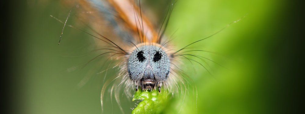 Я поцелую провода, и не ударит меня ток...