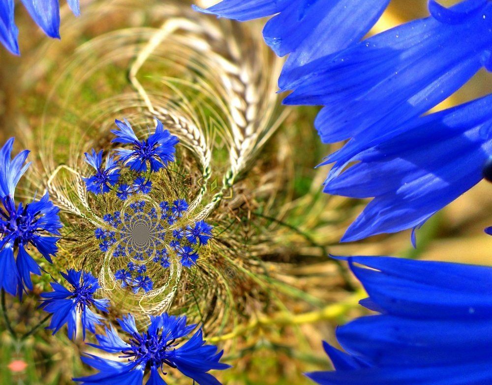 Летние мгновения