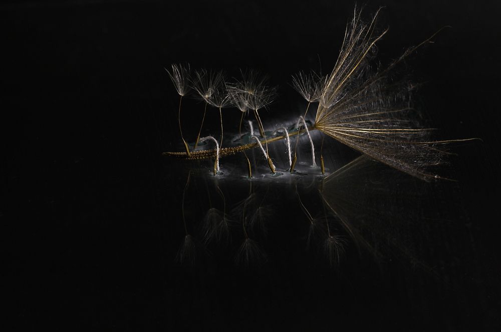 Гулливер и лилипуты