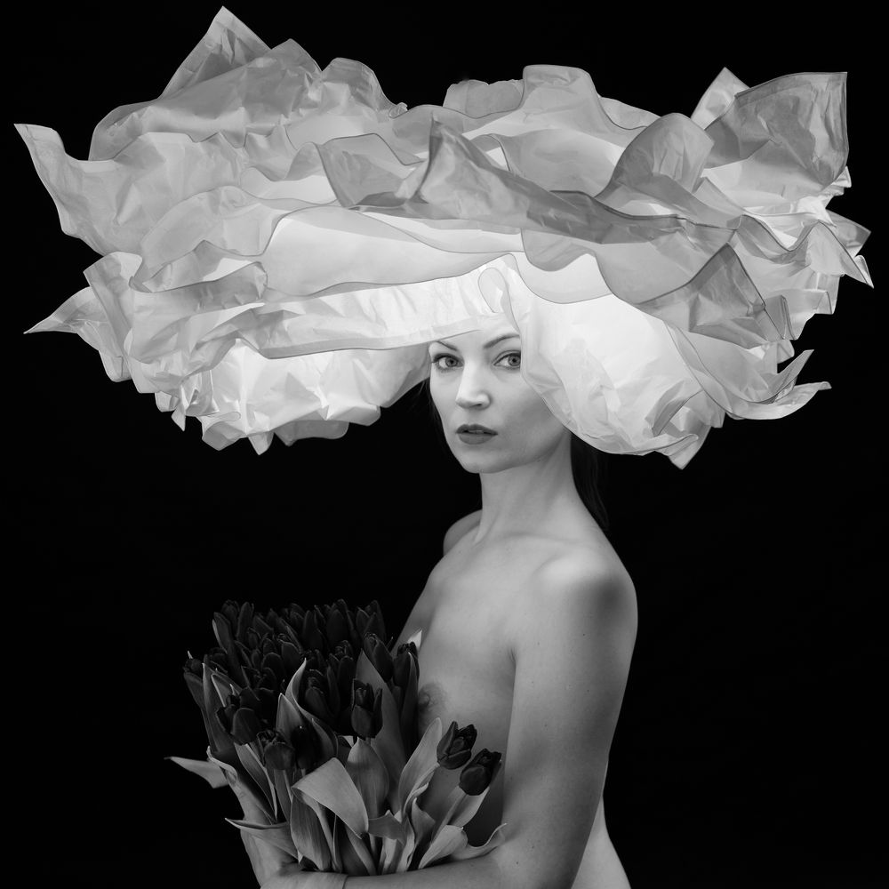 Winter Queen - Зимняя Kоролева