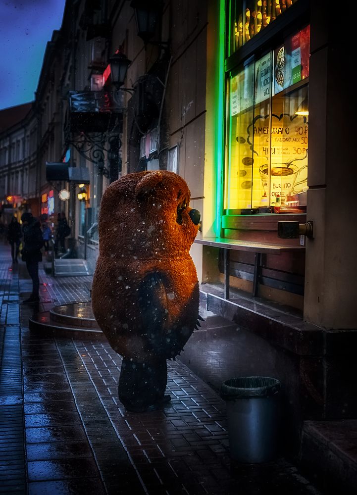Медведь в большом городе