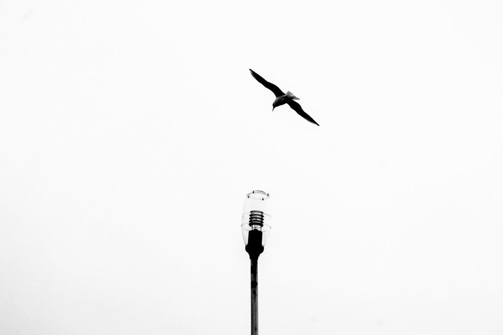 Photograph by Екатерина Качалина