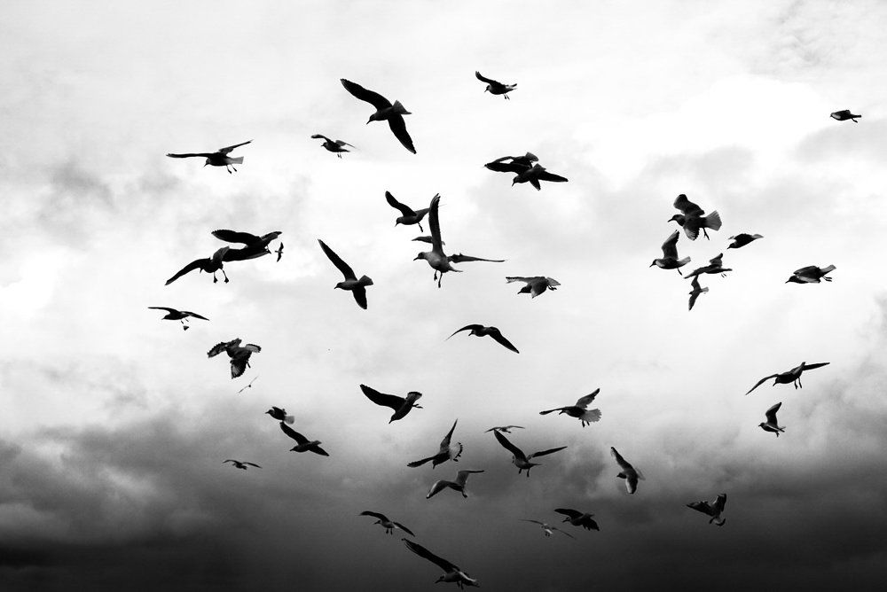 Photograph by Екатерина Качалина