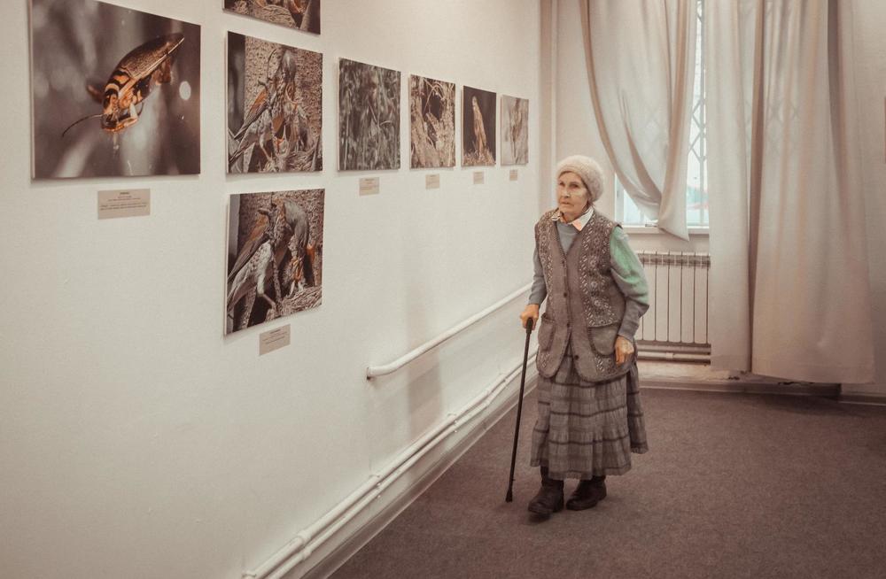 городская выставка