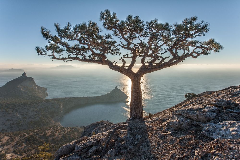 Страж Пика Космос