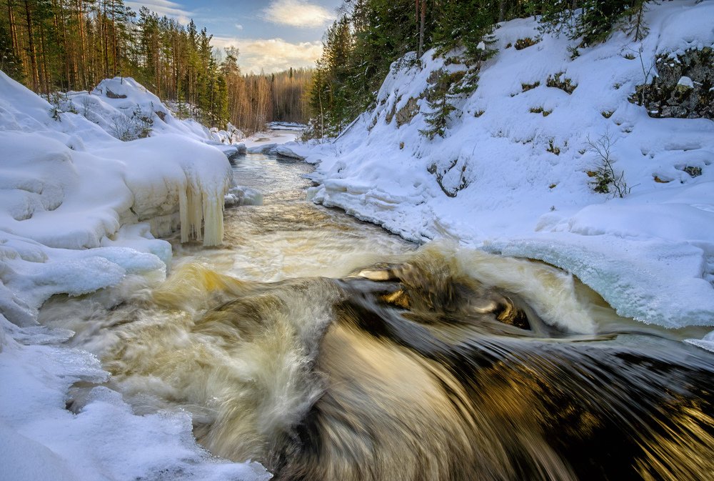 Золотой Кивач