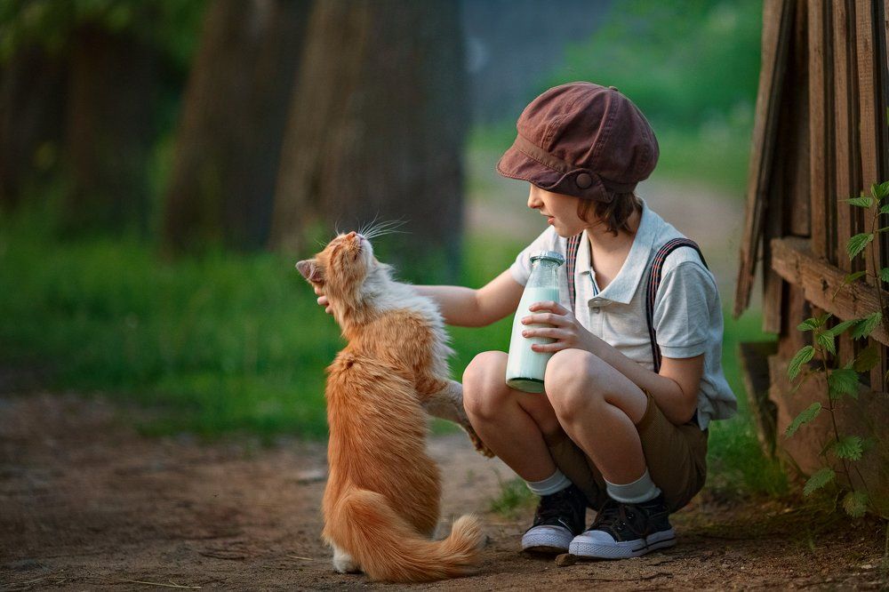 Соседский кот