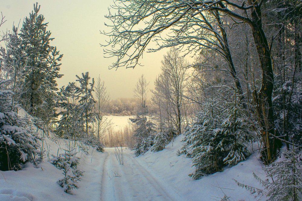 Дорога в новый день !!!