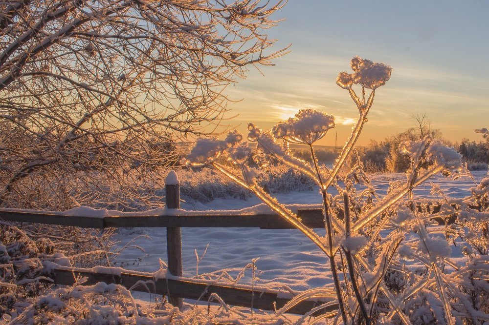Хрустальное утро !