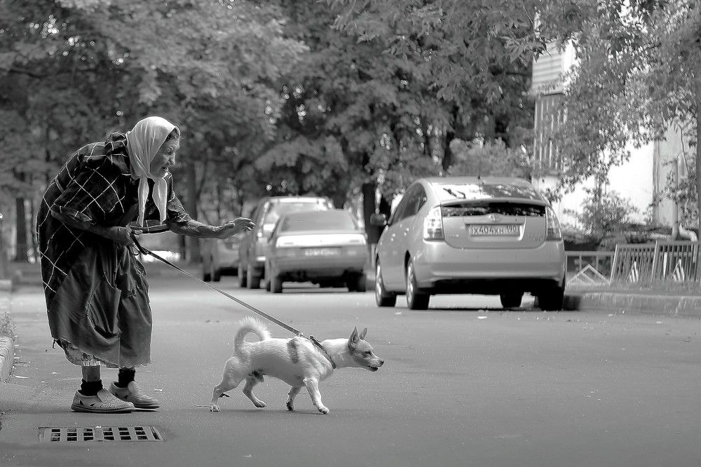 "Человек собаке друг - это знают все вокруг!"