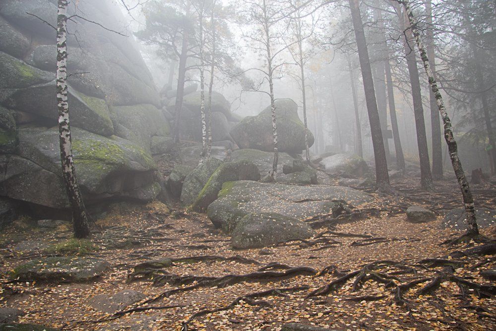 Утро. Туман. Столбы.