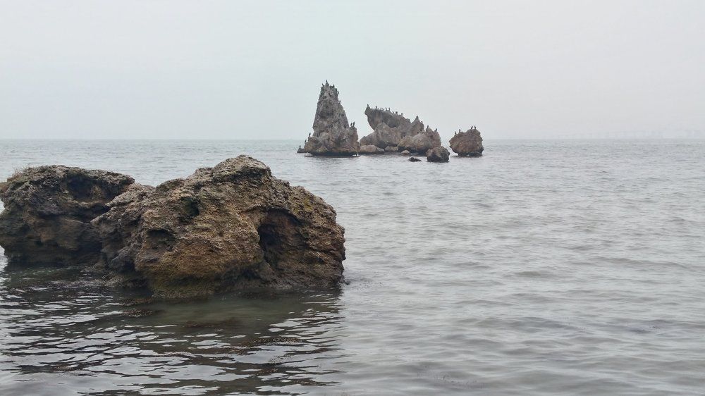 Утро