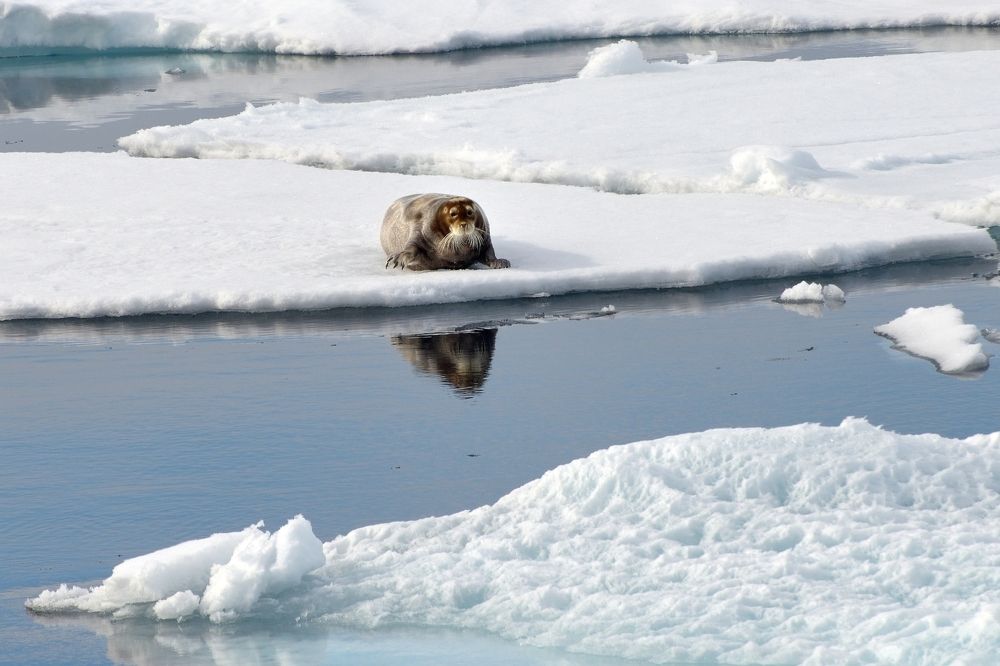 Убегаю быстро.
