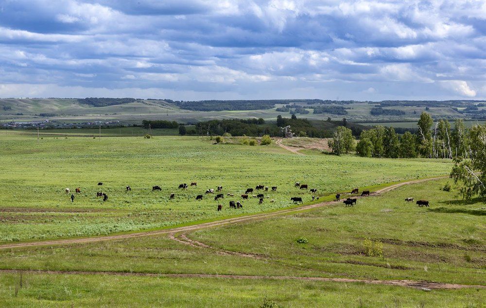 Наши просторы