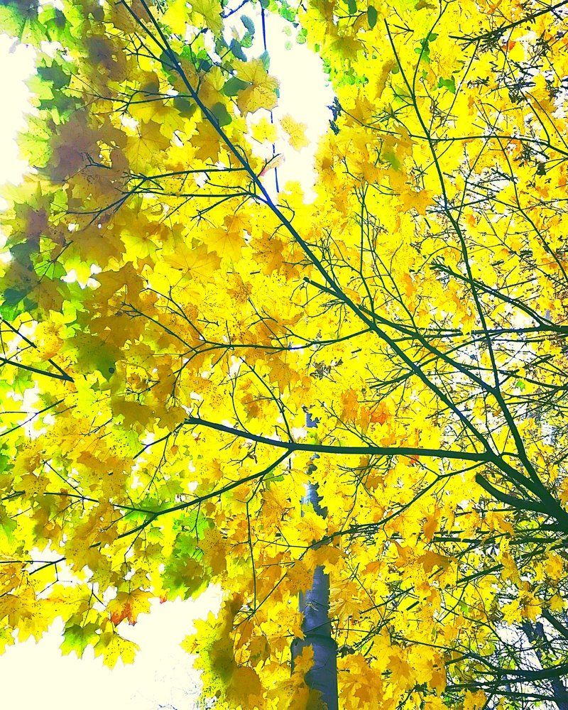Photograph by Соня