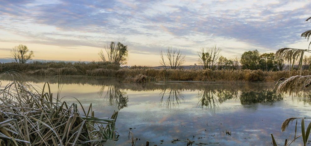 Первые заморозки..