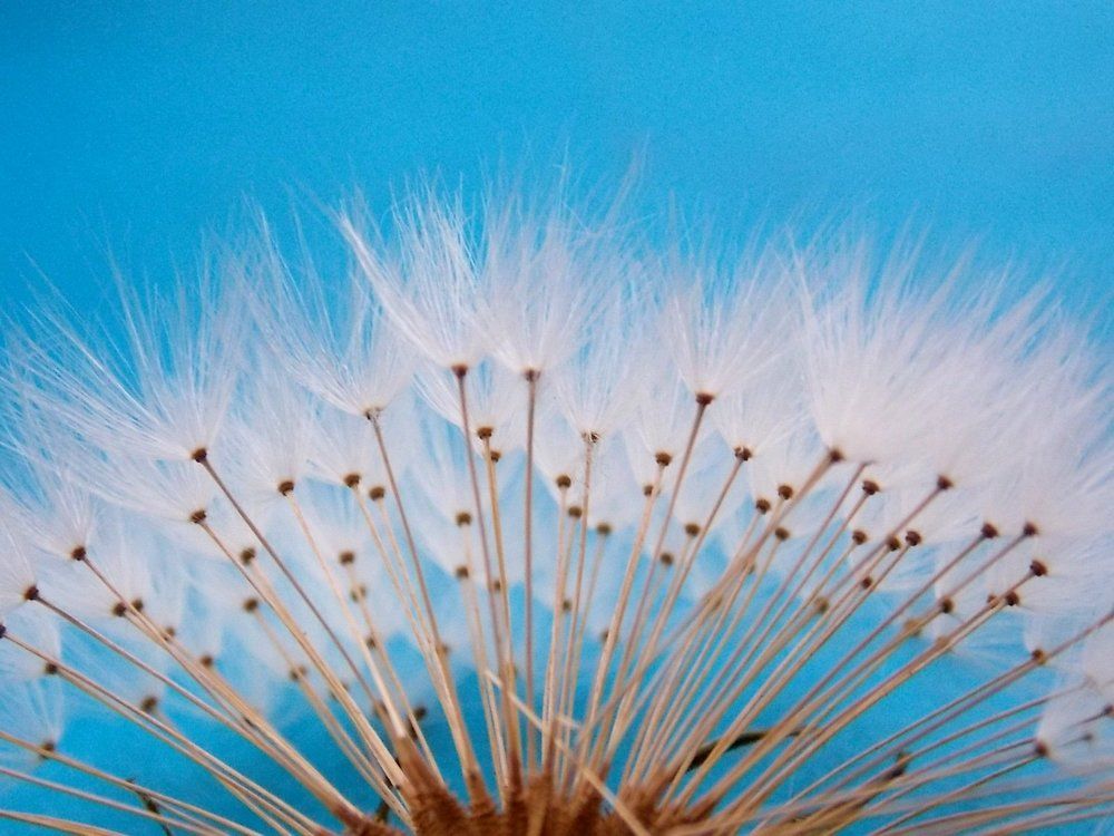 о быстротечности лета