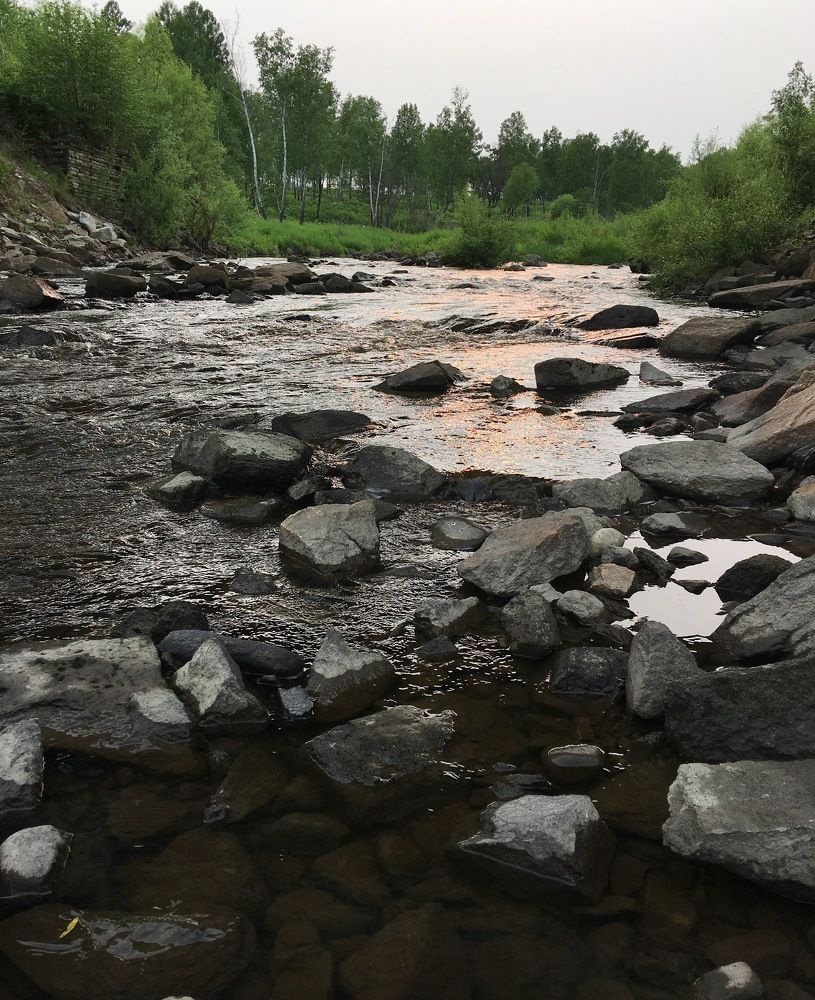 Река Синель