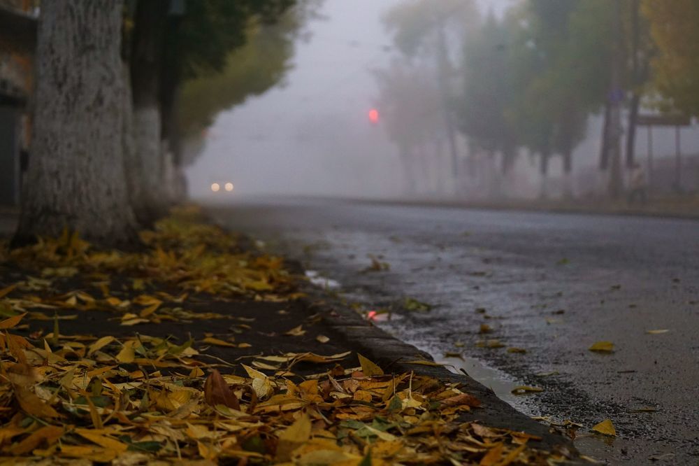 Photograph by Александр Попов