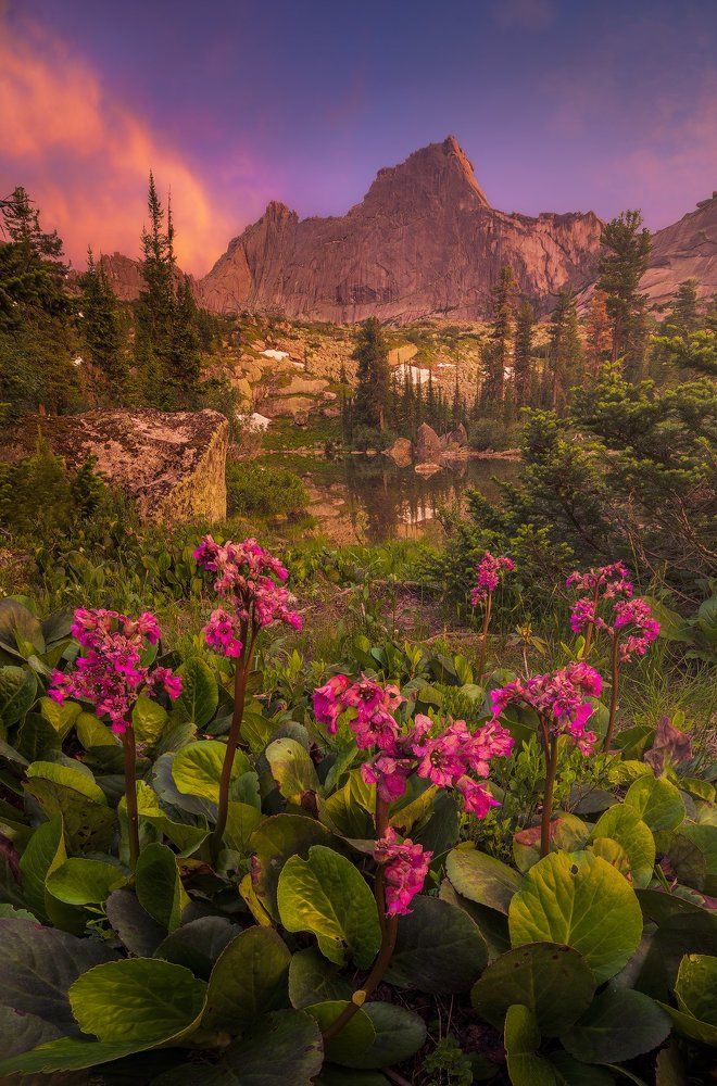 Саян на закате