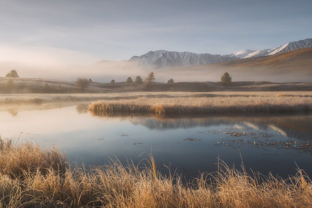 Свежесть утра