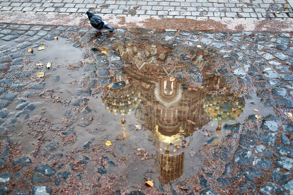 Из серии "Отражения"