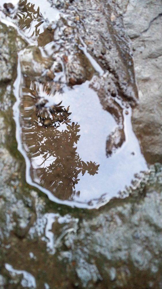 Reflection