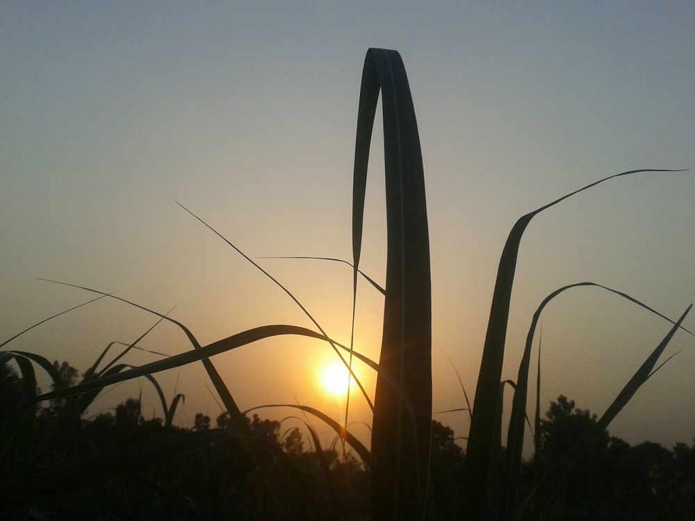 sun set