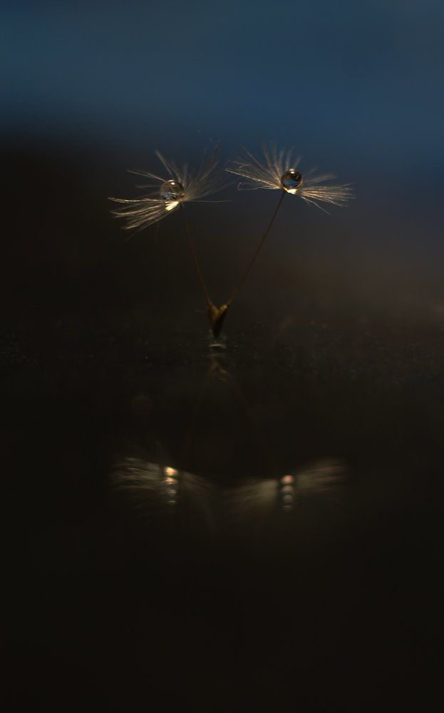 Photograph by Викулов Николай