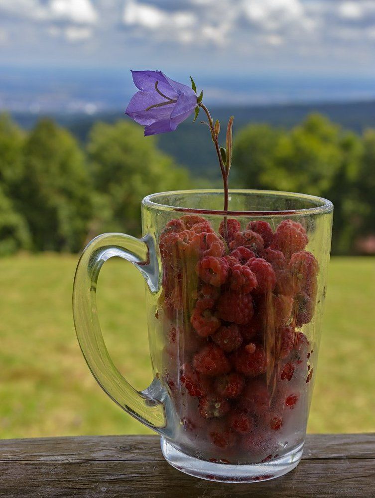 Малиновое наслаждение