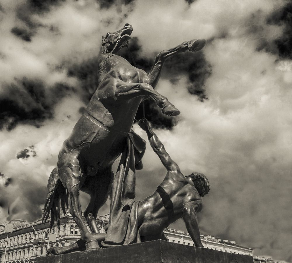 Укрощение коня