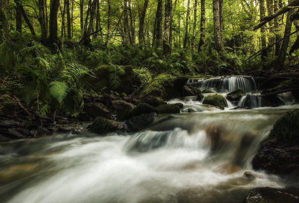 Зеленая страна