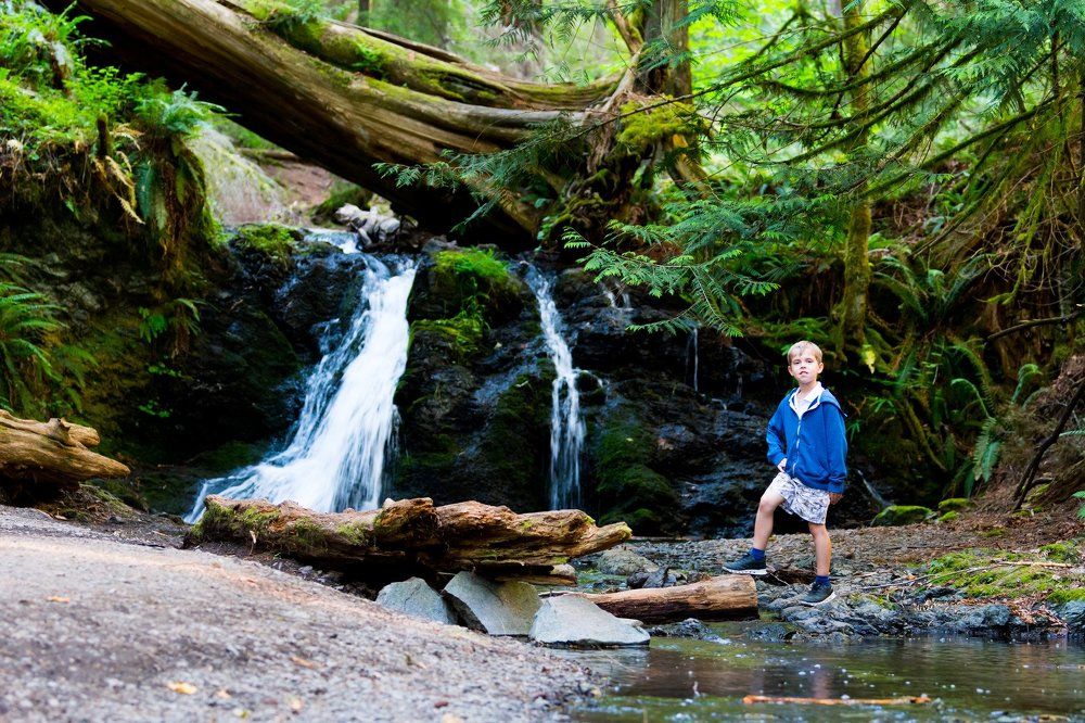Waterfall in the forest.