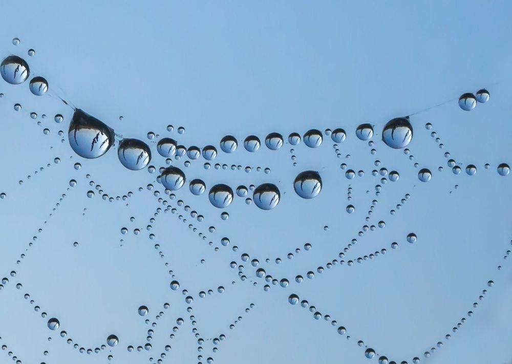 Photograph by Viktor Makarov