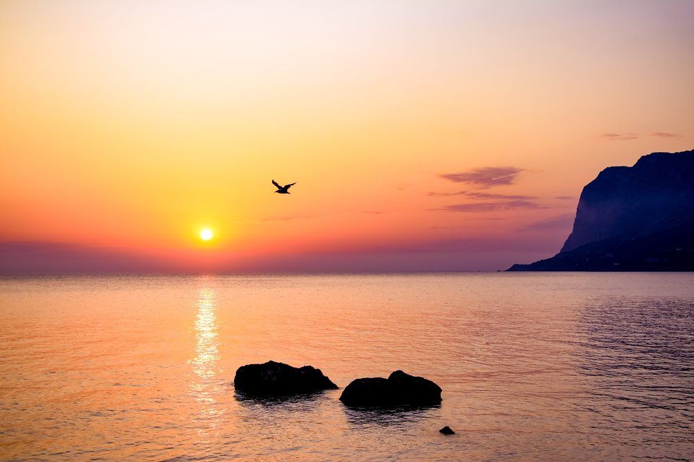 Два булыжника