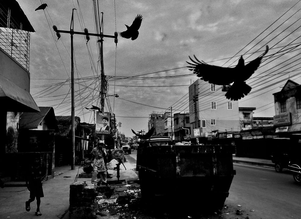 Flying With The Coexistence