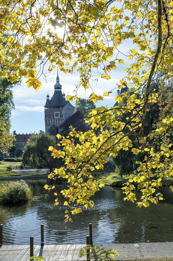 Осенний пруд в Будапеште