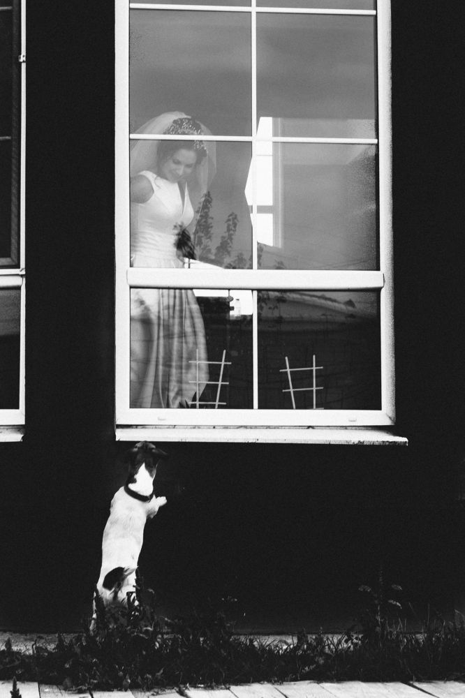 Париж высматривает невесту.