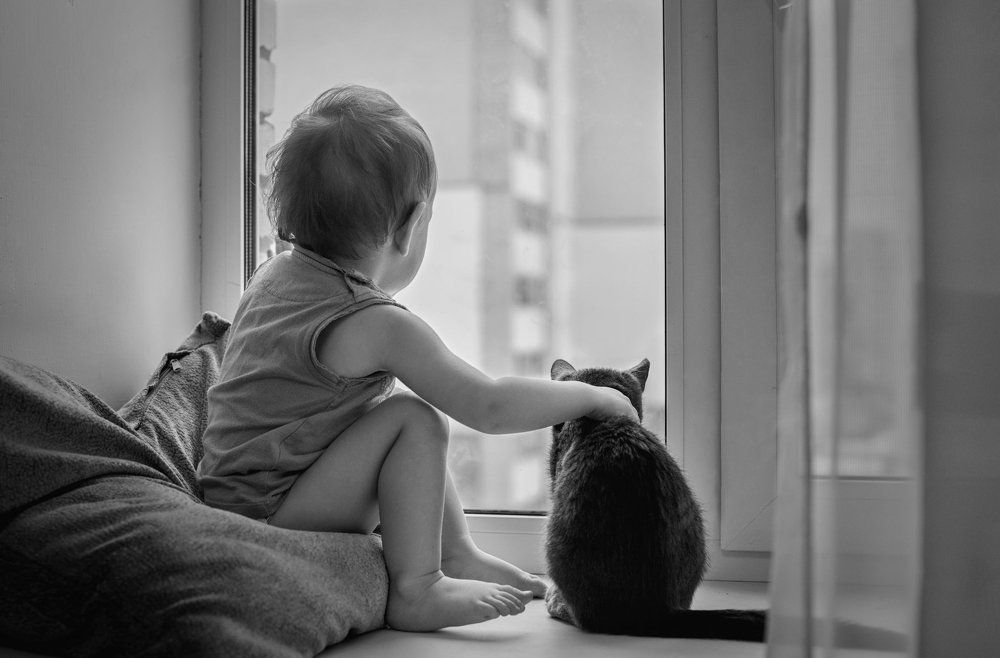 Смотри,что там