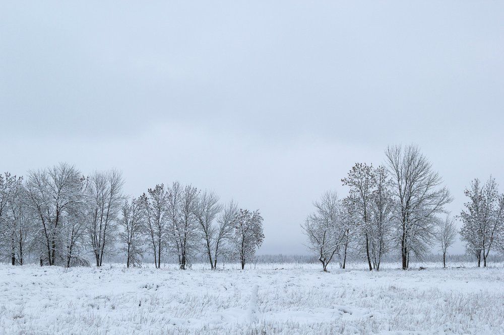 Photograph by Кашицын Александр