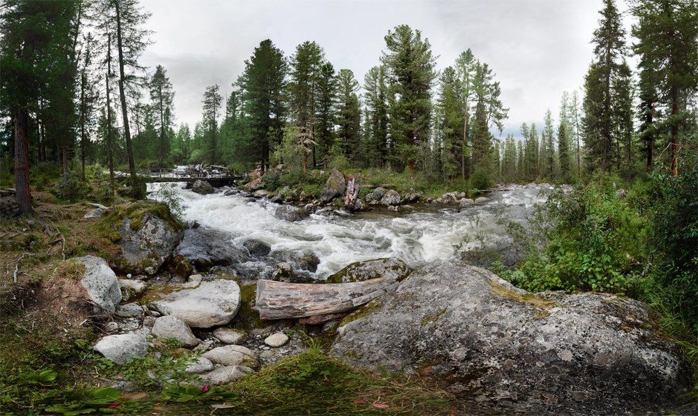 Photograph by Щербакова Галина