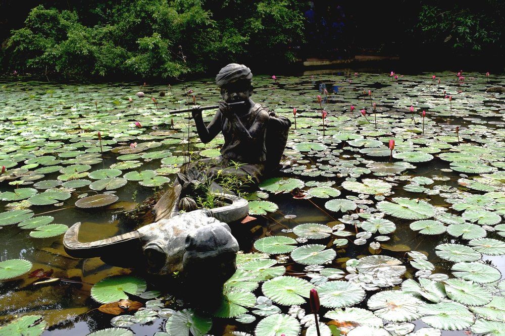 В краю лотоса