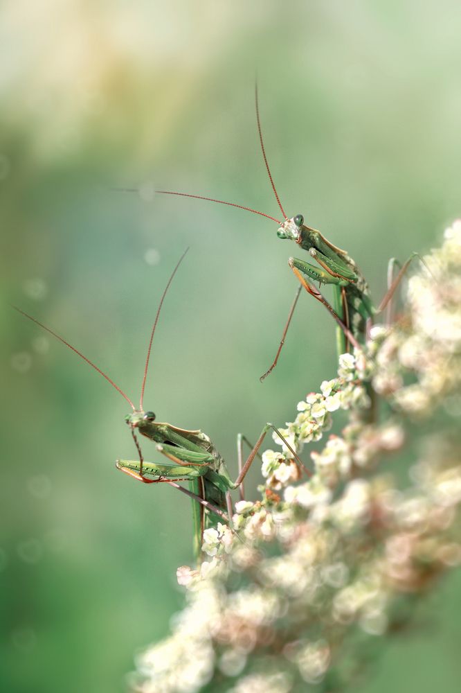 После вкусного обеда